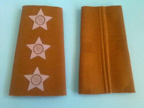SA AIR FORCE NUTRIA CAPTAIN RANK EPAULETTE (PAIR)